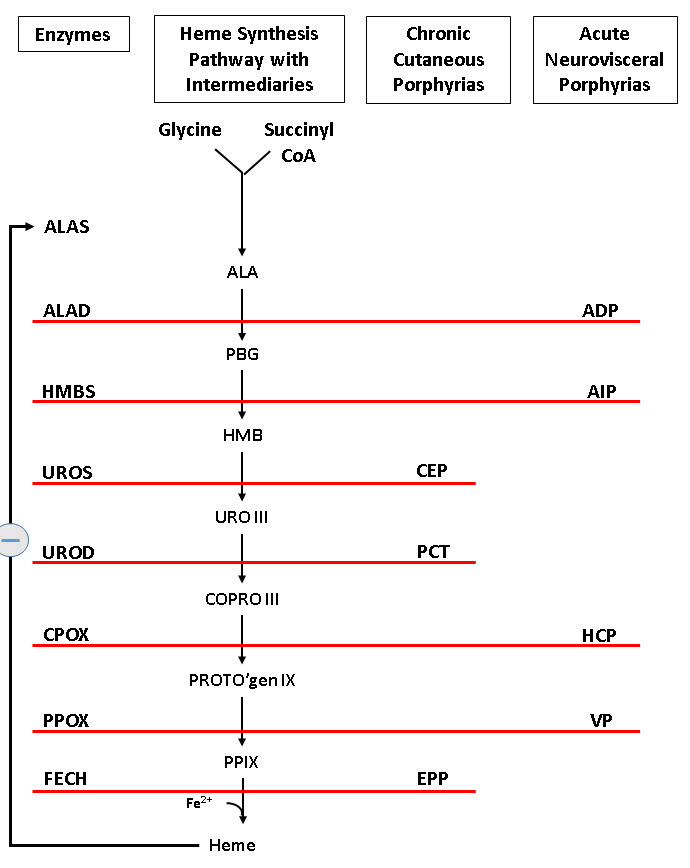 An external file that holds a picture, illustration, etc., usually as some form of binary object. The name of referred object is rmmj-9-2-e0013-g001.gif